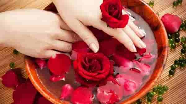Rose : चमकदार त्वचा मिळवण्यासाठी अंघोळीच्या पाण्यामध्ये हा खास घटक मिक्स करा, वाचा अधिक!