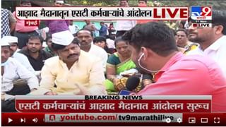 Chandrapur | अंधारी व्याघ्र प्रकल्पाच्या सीमावर्ती भागात वाघाचा गाईवर हल्ला, दृश्य कॅमेऱ्यात कैद