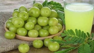 Foods For Eyesight : दृष्टी वाढवण्यासाठी ‘या’ आरोग्यदायी पदार्थांचा आहारात समावेश करा!