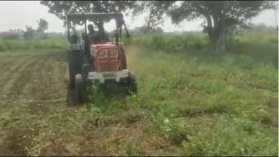 अतोनात खर्च करुन कांदा पिकवला, पण कवडीचाही भाव नाही, धुळ्यात उभ्या कांद्यावर शेतकऱ्याने रोटाव्हीटर फिरवला