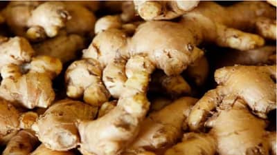 सर्दी, खोकल्यापासून सुटका मिळवण्यासाठी खा आलेपाक; आयुष मंत्रालयाने शेअर केली रेसिपी, फायदेही सांगितले