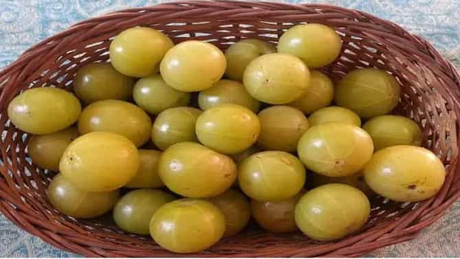Side Effects of Amla : या लोकांनी वैद्यकीय सल्ल्याशिवाय आवळा खाऊ नये, वाचा याबद्दल सविस्तर!