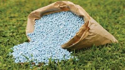 डीएपी कृत्रिम टंचाई, नांदेडमध्ये दोन विक्रेत्यांचे परवाने निलंबित, कृषी विभागाची कारवाई