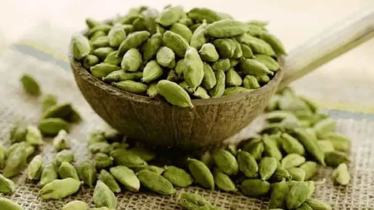 वेलची हा भारतीय जेवणातील सर्वात महत्त्वाचा घटक आहे. आतापर्यंत तुम्हाला वाटत असेल की वेलची खाल्ल्याने जेवणाची चव आणि सुगंध वाढतो तर तुम्ही चुकीचे आहात. वेलचीच्या वापरामुळे तुमच्या जेवणाची चव वाढते तसेच तुमचे आरोग्य आणि सौंदर्य वाढते.