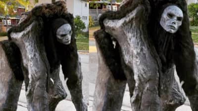 Viral Video : फॅशनच्या नावावर काहीही, या व्यक्तीचा पोशाख पाहून राक्षसांची आठवण नक्की होईल