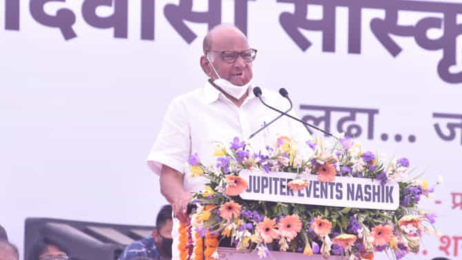 शरद पवार पुढील आठवड्यात नक्षलग्रस्त भागात जाणार, तरुणांशी साधणार संवाद