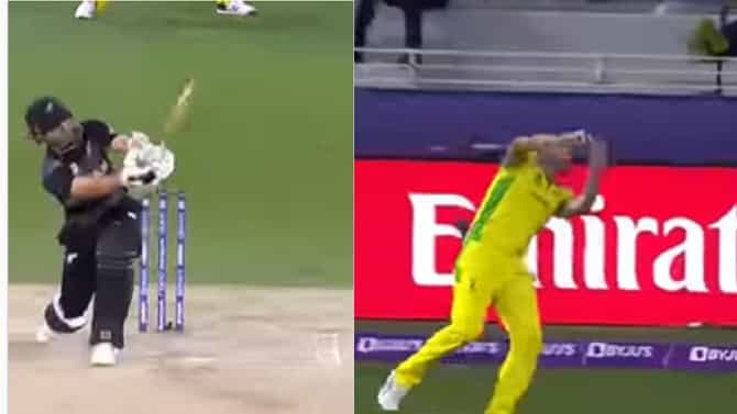 T20 world cup Final | ऑस्ट्रेलियाची एक चूक अन् ठोकले 10 चौकार, 3 षटकार; पराभवानंतरही केनच्या फलंदाजीची चर्चा