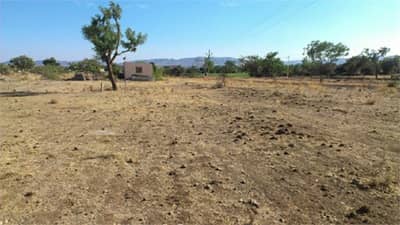 गायरान जमिन म्हणजे नेमके काय ? काळाच्या ओघात का वाढत आहे अतिक्रमण ?