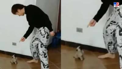 Video: छोट्या पगसोबत मालकाची मस्ती, मालकाचे डान्स स्टेप फॉलो करणारा छोट्या पगचा व्हिडीओ!