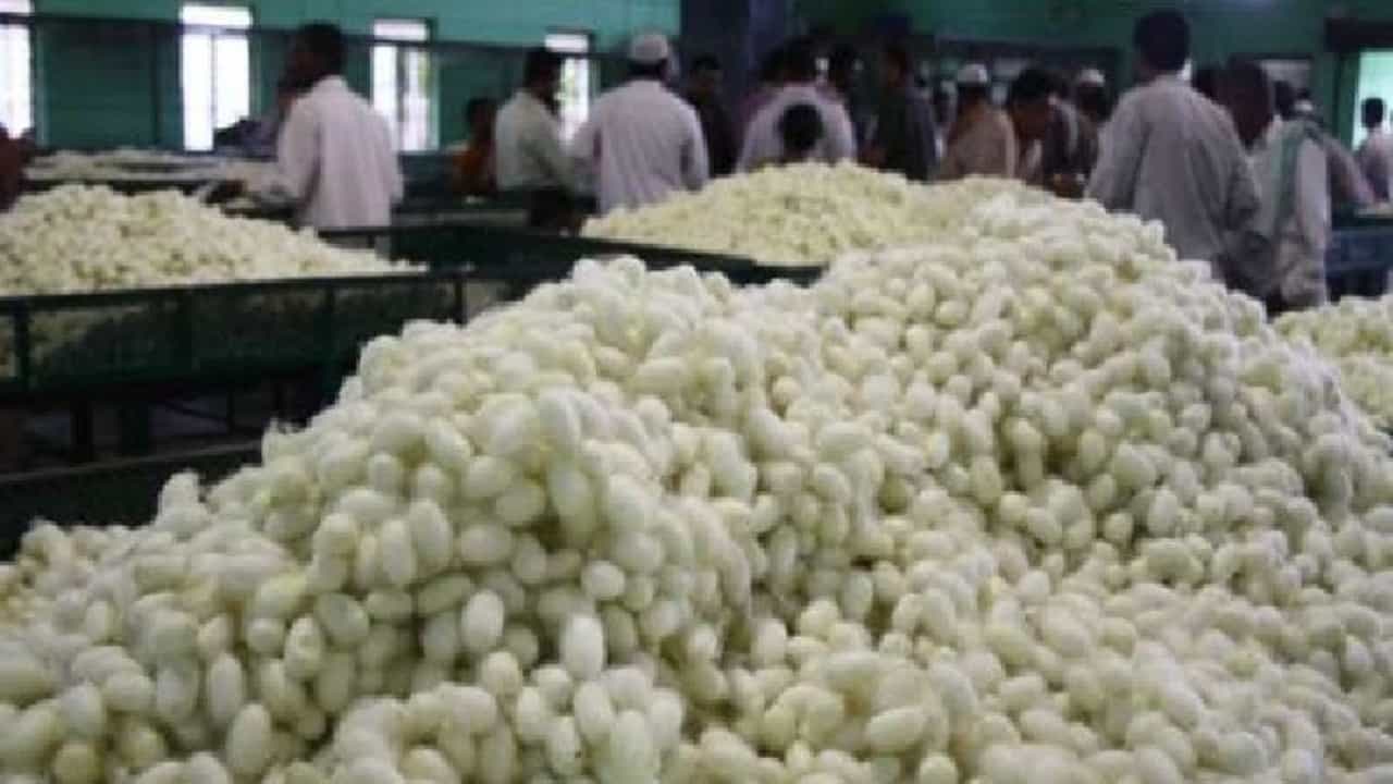 खरीप-रब्बी बेभरवश्याचीच, आता शाश्वत शेतीसाठी हाच शेतकऱ्यांकडे पर्याय...!