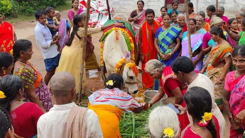 आंध्रप्रदेशातील गुंठूर जिल्ह्यात आजही गायीचे डोहाळ जेवणाचा कार्यक्रम रितीरिवाजाने पार पाडला जात आहे.