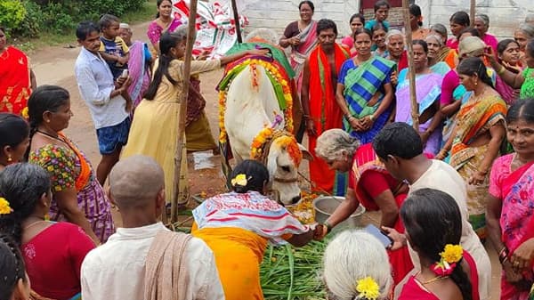 आंध्रप्रदेशातील गुंठूर जिल्ह्यात आजही गायीचे डोहाळ जेवणाचा कार्यक्रम रितीरिवाजाने पार पाडला जात आहे.