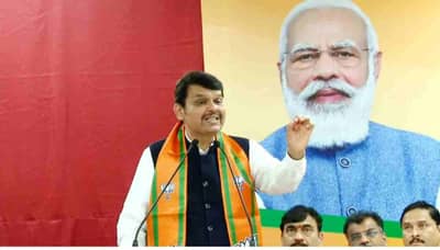 फ्रान्सचा मॉरीस कोंबडा नेहमीच बांग देतो, भाजपच्या गरूड भरारीपुढे टिकणार नाहीत, फडणवीसांचा नवाब मलिकांना अप्रत्यक्ष टोला