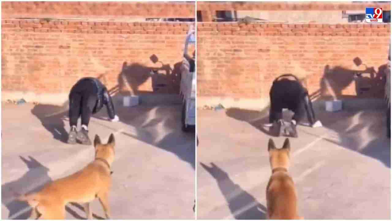 Video: मालकासोबत व्यायाम करणारा कुत्रा, नेटकरी म्हणाले, याहून हुशार कुत्रा पाहिला नाही!