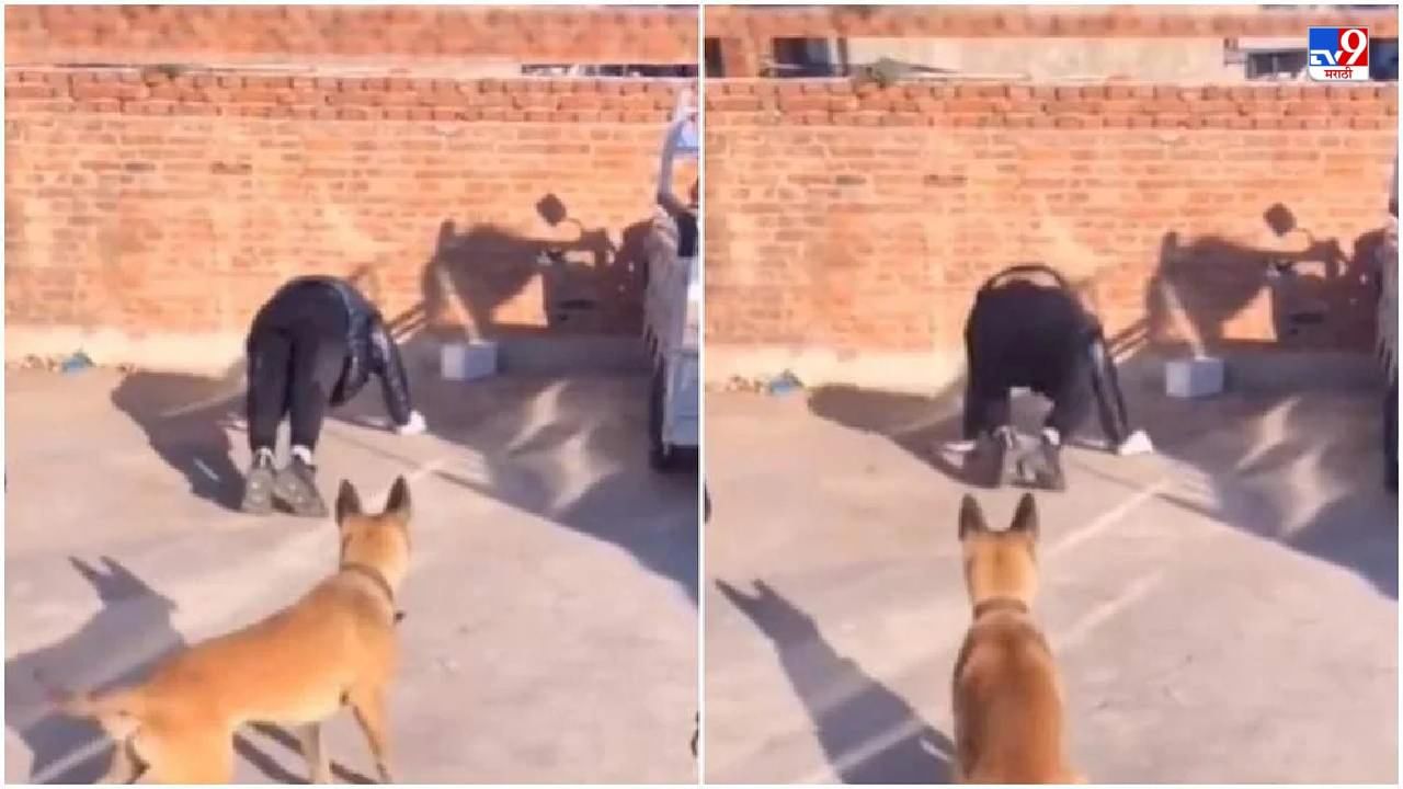 Video: मालकासोबत व्यायाम करणारा कुत्रा, नेटकरी म्हणाले, याहून हुशार कुत्रा पाहिला नाही!
