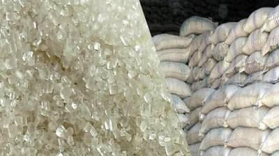 105 लाख टन ऊसाला 91 लाख क्विंटल साखरेचे उत्पादन, उतार कमीच