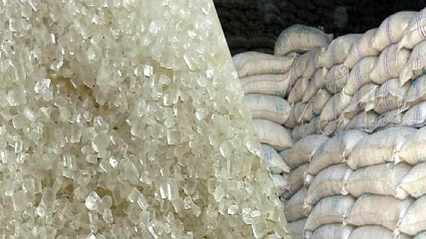 105 लाख टन ऊसाला 91 लाख क्विंटल साखरेचे उत्पादन, उतार कमीच