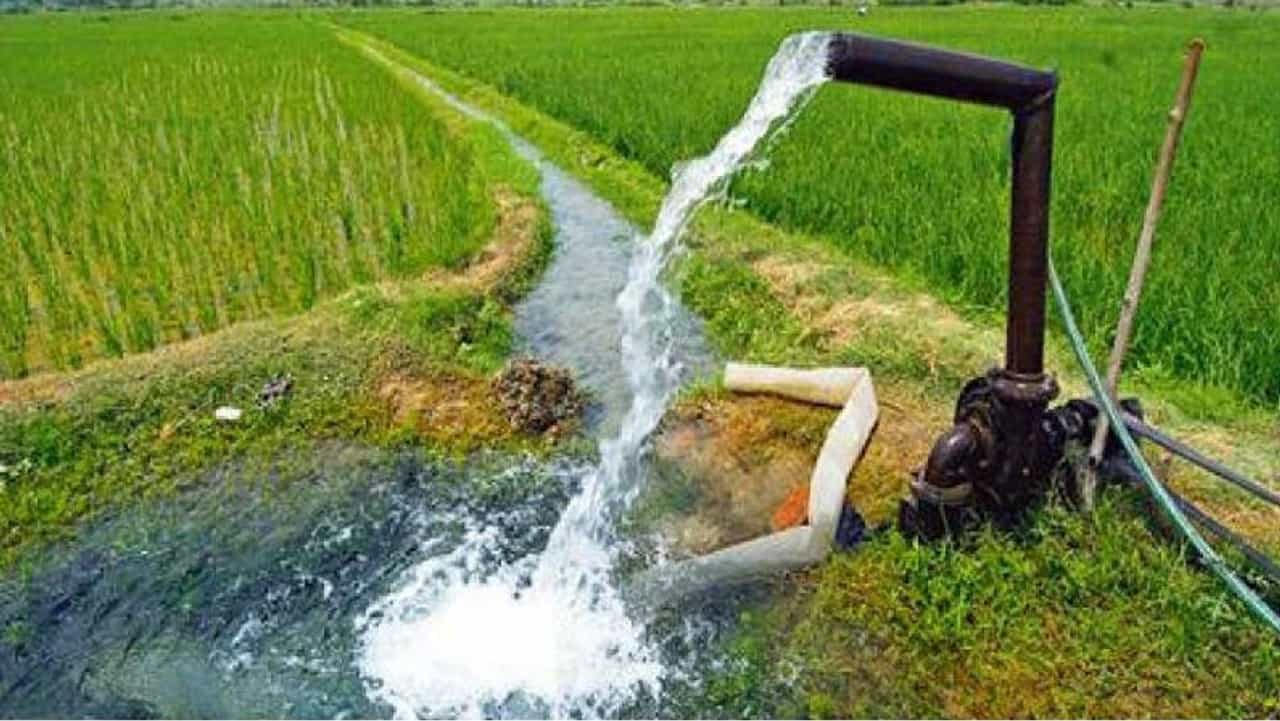 काय म्हणता..! भंडाऱ्यातील शेतकऱ्यांकडे महावितरणची 225 कोटी रुपयांची थकबाकी, सवलतीचा लाभ घ्या अन्...
