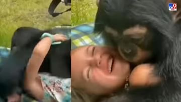 Video: छोटु चिंपांझीचं मुलांवर प्रेम, प्रत्येकाला कडकडून मिठी, व्हिडीओ पाहून नेटकरी अवाक!
