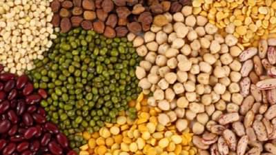 तयारी आगामी खरीप हंगामाची, कसे केले जाते बीजोत्पादन?