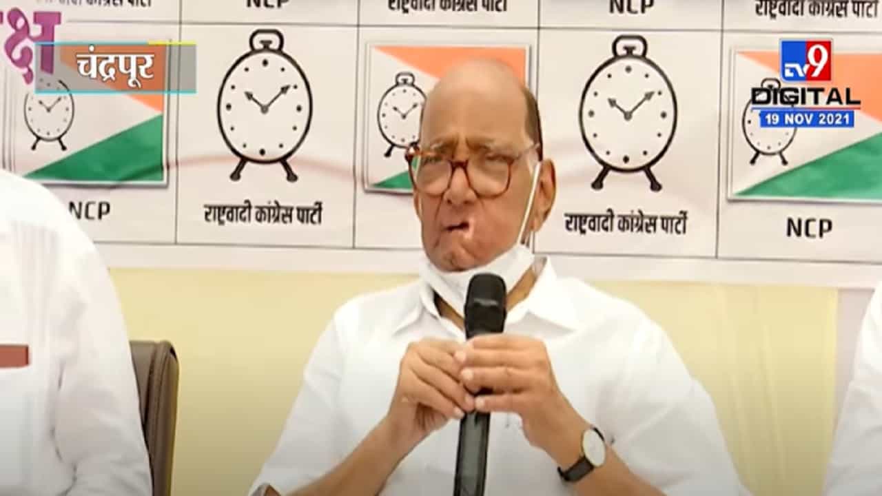 VIDEO : Sharad Pawar | सरकारला झुकवणाऱ्या शेतकऱ्यांना सलाम करतो - शरद पवार
