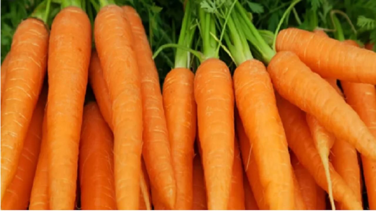 गाजरमध्ये के, ए आणि सी जीवनसत्त्वे, पोटॅशियम असते. बीटा कॅरोटीन नावाचे अँटीऑक्सिडंट देखील आहे. जे विविध प्रकारचे कर्करोग टाळण्यास मदत करते. 