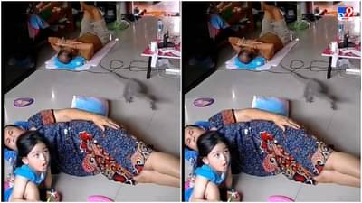 Video: घरात सगळे जमिनीवर झोपले होते, अचानक घोरपड घरात घुसली, आणि त्यानंतर...