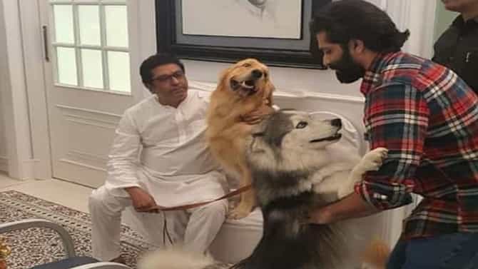 राज ठाकरेंचं श्वान प्रेम पुन्हा चर्चेत, नव्या घरातील लाडक्या कुत्र्यांसोबतचा फोटो व्हायरल