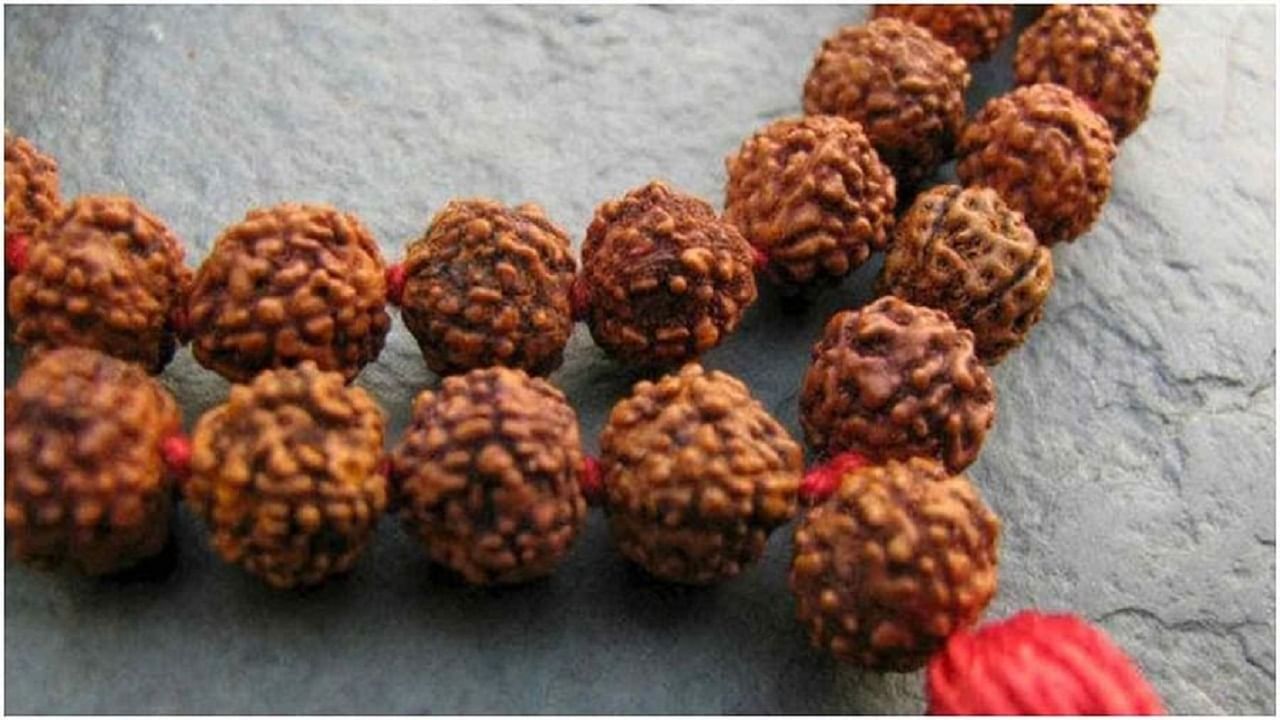 रुद्राक्षाचे हे लाभ तुम्हाला माहितीयेत का? जाणून घ्या त्याचे चमत्कारिक फायदे रुद्राक्षाचे हे लाभ तुम्हाला माहितीयेत का? जाणून घ्या त्याचे चमत्कारिक फायदे