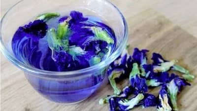 Health Care : घरच्या-घरी तयार करा आरोग्यदायी गोकर्णाच्या फुलांचा चहा, जाणून घ्या खास रेसिपी!