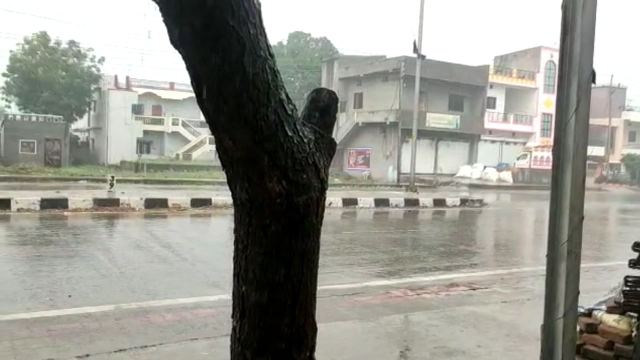 Weather Forecast : मध्य महाराष्ट्र, मराठवाडा ते विदर्भात येत्या 4-5 दिवसात मेघगर्जनेसह पावसाची शक्यता, IMD कडून यलो अलर्ट जारी