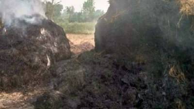 किन्ही मोखे गावावर शोककळा, 17 शेतकऱ्यांचे धानाचे पुंजणे जळाले, 33 एकरातल्या धानाची झाली राखरांगोळी