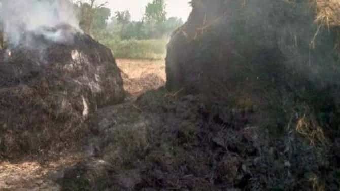 किन्ही मोखे गावावर शोककळा, 17 शेतकऱ्यांचे धानाचे पुंजणे जळाले, 33 एकरातल्या धानाची झाली राखरांगोळी