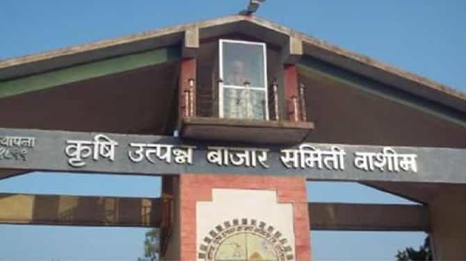 दुष्काळात तेरावा..! पावसाच्या पाण्यात शेतकऱ्यांचे सोयाबीन, नुकसानभरपाई मिळणार तरी कशी?