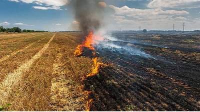 ही कसली दुश्मनी ? 33 एकरातील भात पिकाच्या गंजीला लावली आग, भंडाऱ्यात असे काय झाले?