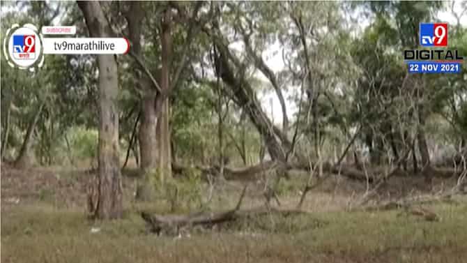 Pune | डॉ. सलीम अली पक्षी अभयारण्य परिसरात अतिक्रमण, पुणे महापालिकेचं दुर्लक्ष