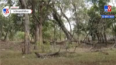 Pune | डॉ. सलीम अली पक्षी अभयारण्य परिसरात अतिक्रमण, पुणे महापालिकेचं दुर्लक्ष