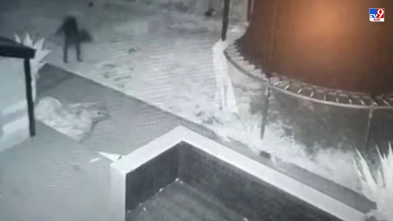Video: सीसीटीव्ही कॅमेऱ्यात कैद झालं कुत्र्याचं भूत, ऑस्ट्रेलियातील व्यक्तीच्या दावात किती सत्य, तुम्हीच पाहा!