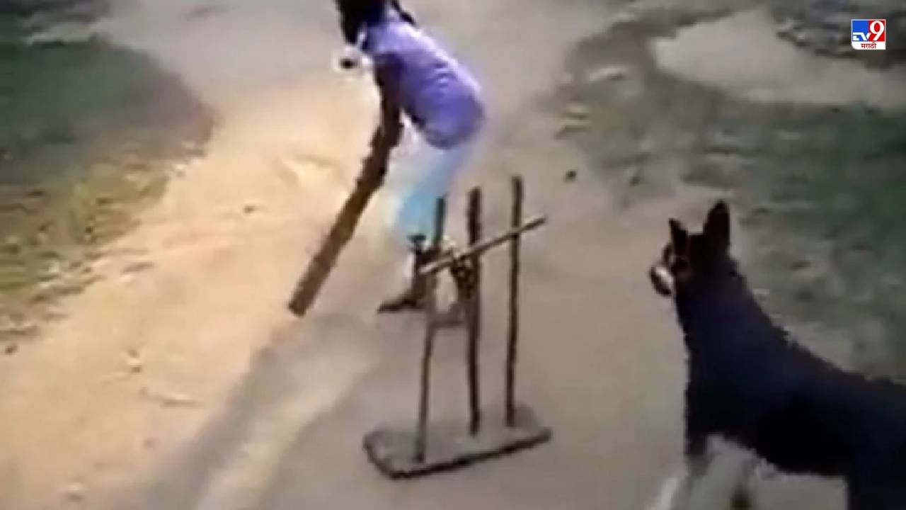 Video: कुत्र्याने अशी विकेटकिपिंग केली की, क्रिकेटचा देवही प्रसन्न झाला, पाहा सचिनने शेअर केलेला अप्रतीम व्हिडीओ!