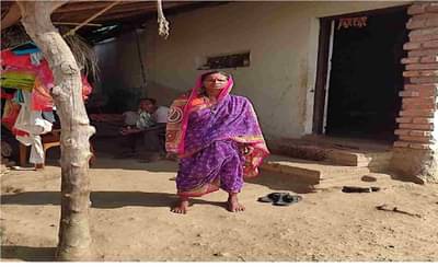 हातात धान कापणीचं अवजार अन् समोर डरकाळी फोडणारा वाघ, गडचिरोलीत 44 वर्षांच्या वाघिणीची यशस्वी झुंज!