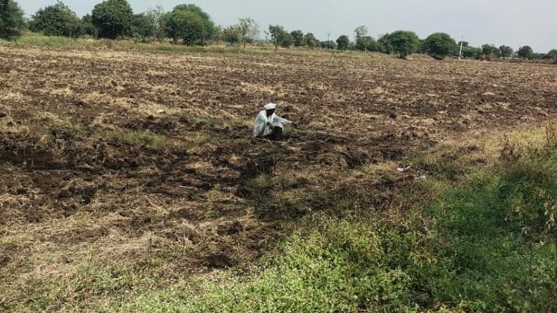 Farmer Suicide : सन 2020 मध्ये सर्वाधिक शेतकरी आत्महत्या महाराष्ट्रात, काय आहेत कारणे?