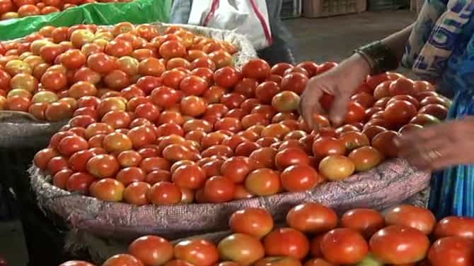 डाळिंबापेक्षाही टोमॅटो महाग, केव्हा मिळणार दिलासा? केंद्र सरकारनेच सांगितला तोडगा