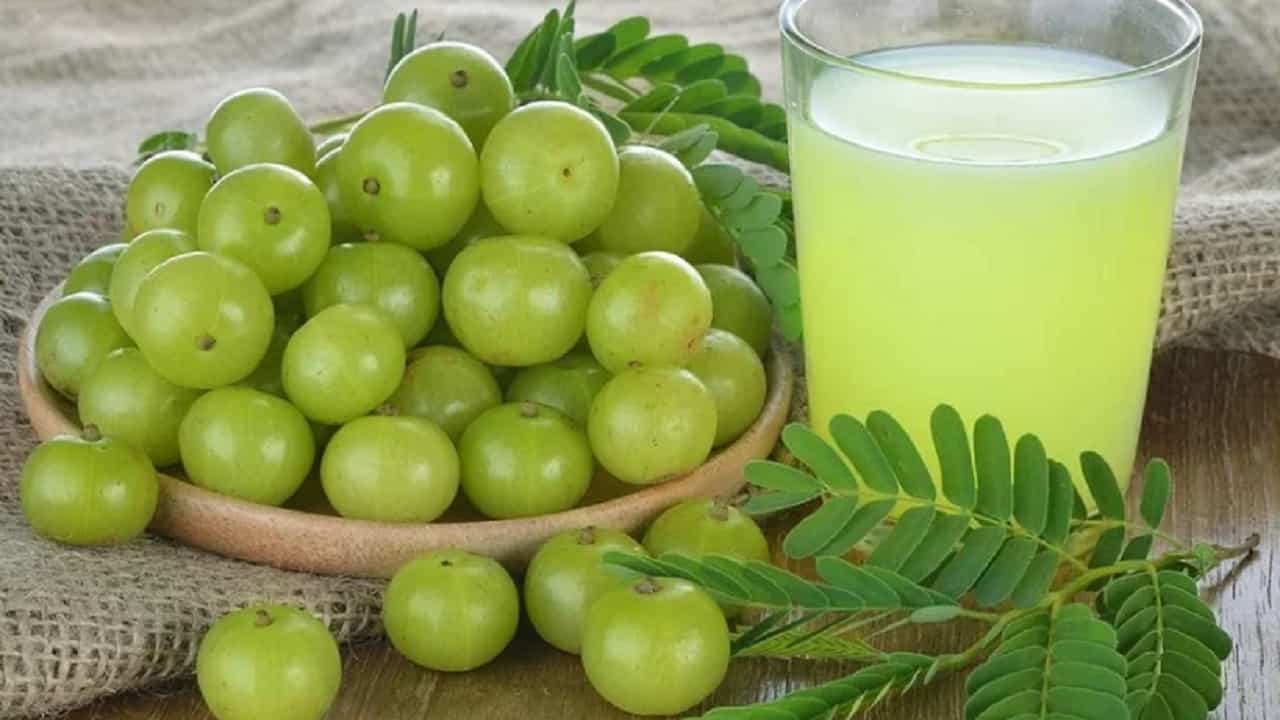 आवळा आरोग्य, त्वचा आणि केस यासाठी अत्यंत फायदेशीर आहे. आता हिवाळ्याच्या हंगामाला सुरूवात झाली आहे आणि ताजे आवळे बाजारामध्ये मिळतात. मात्र, काही लोक हिवाळ्यामध्ये आवळे खाणे टाळतात. त्यांचा असा गोड गैरसमज आहे की, या हंगामात आवळे खाल्ल्याने सर्दी, ताप आणि खोकला या समस्या निर्माण होतात. मात्र, आज आम्ही तुम्हाला हिवाळ्याच्या हंगामात आवळा खाण्याचे फायदे सांगणार आहोत.