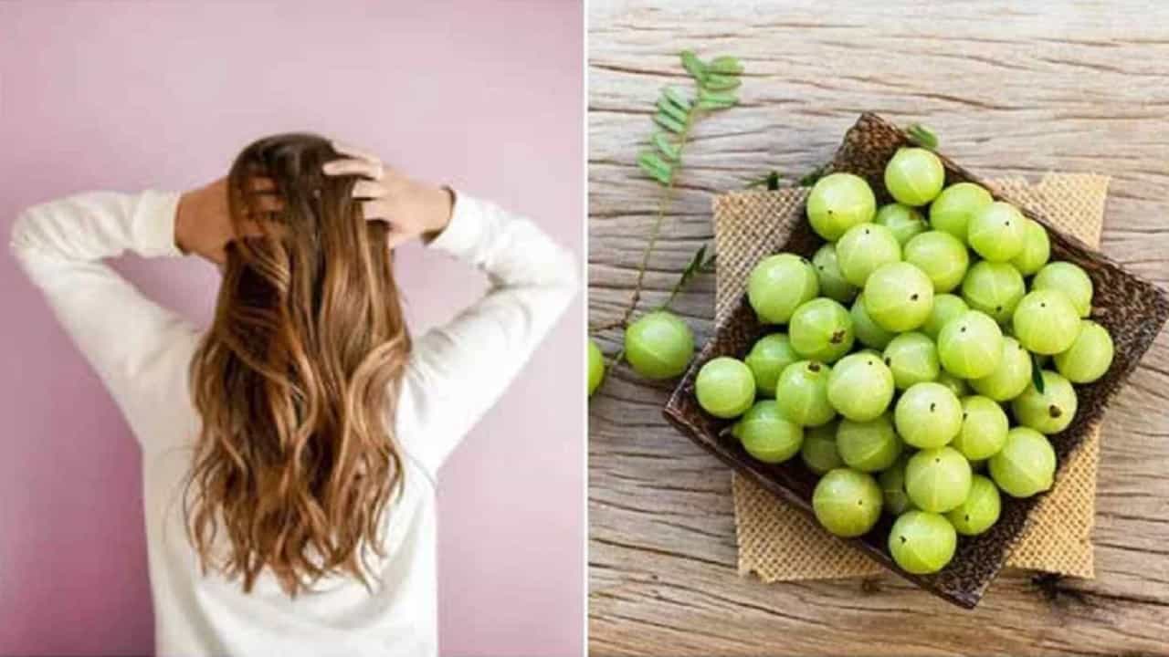 आवळा गेल्या अनेक वर्षांपासून औषधी गुणधर्मांसाठी ओळखला जातो. आवळा आपल्या केसांसाठी अत्यंत फायदेशीर आहे. आवळ्याचा वापर करून आपण केसांच्या अनेक समस्या दूर ठेऊ शकतो. आवळा हे व्हिटॅमिन सीचे चांगले स्त्रोत आहे. आवळ्यातील अँटी-बॅक्टेरियल आणि अँटी-इंफ्लेमेटरी गुणधर्म केस मजबूत आणि सुंदर बनवण्याचे काम करतात. यामुळे आवळ्याचे हेअर पॅक केसांना लावणे फायदेशीर आहे.