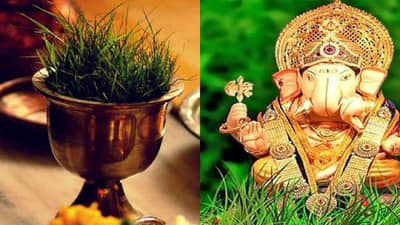 Astro Remedy | गणपतीला प्रिय असलेल्या दुर्वाचे चमत्कारिक उपाय, दूर होतील सर्व दु:ख