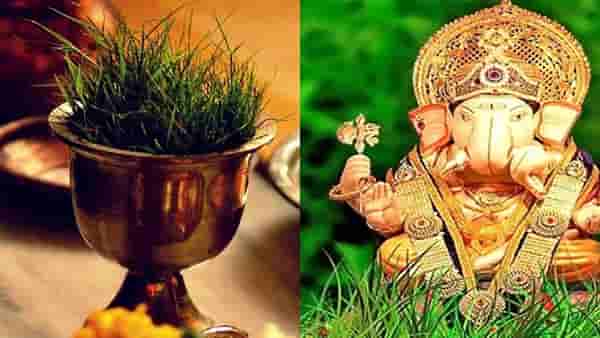 Astro Remedy | गणपतीला प्रिय असलेल्या दुर्वाचे चमत्कारिक उपाय, दूर होतील सर्व दु:ख