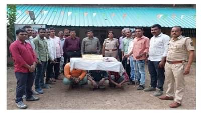 वाघांचे दात विकणे आहे! उमरेडमध्ये पाच आरोपी जेरबंद, वनविभागानं रचला सापळा