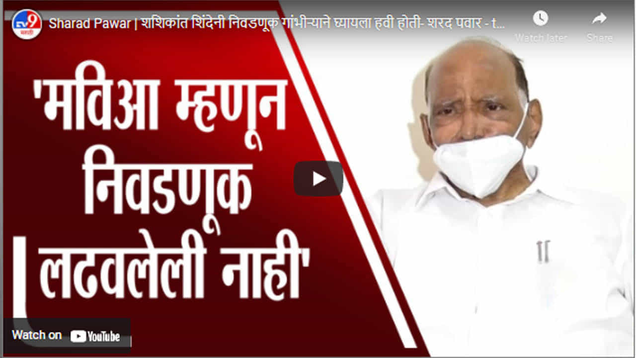Sharad Pawar | शशिकांत शिंदेनी निवडणूक गांभीऱ्याने घ्यायला हवी होती- शरद पवार Sharad Pawar | शशिकांत शिंदेनी निवडणूक गांभीऱ्याने घ्यायला हवी होती- शरद पवार