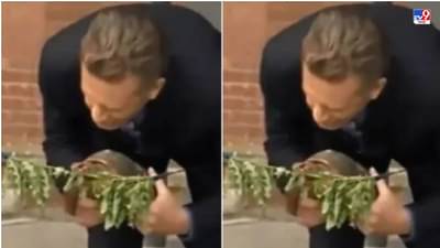 कासवाने केलं प्रयोगशाळेचं उद्घाटन, व्हिडीओ पाहिल्यानंतर नेटकरी म्हणाले, उद्घाटनाचा प्रयोगही भन्नाट आहे!