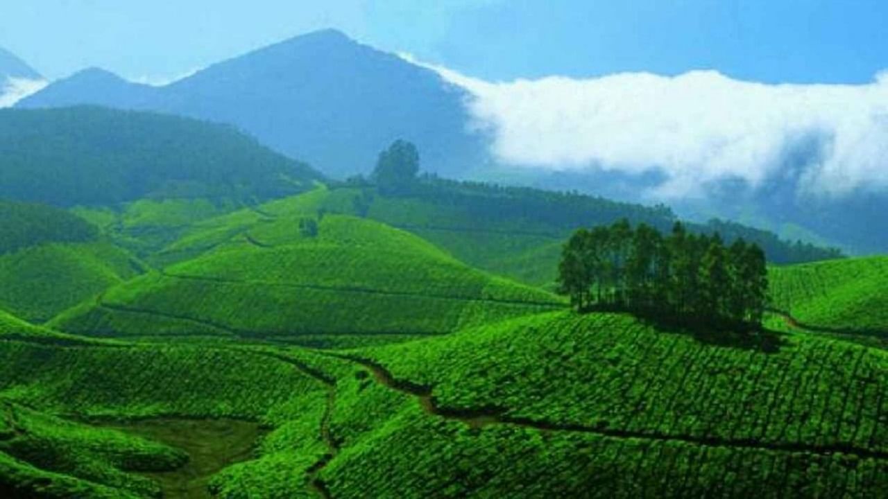 मुन्नार हे केरळचे शांत हिल स्टेशन आहे. येथे तुम्ही निर्सगाच्या सौंदर्याचा आनंद घेऊ शकता. येथील चहा कॅफीच्या मळ्यांमध्ये तुम्ही हरवून जाल ही तुमची सर्वोत्तम सहल ठरू शकते.